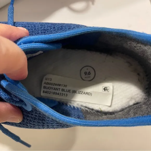 AllBirds Men's Tree Skippers Shoes sneaker Sz 13 Blue, Lightweight, designer