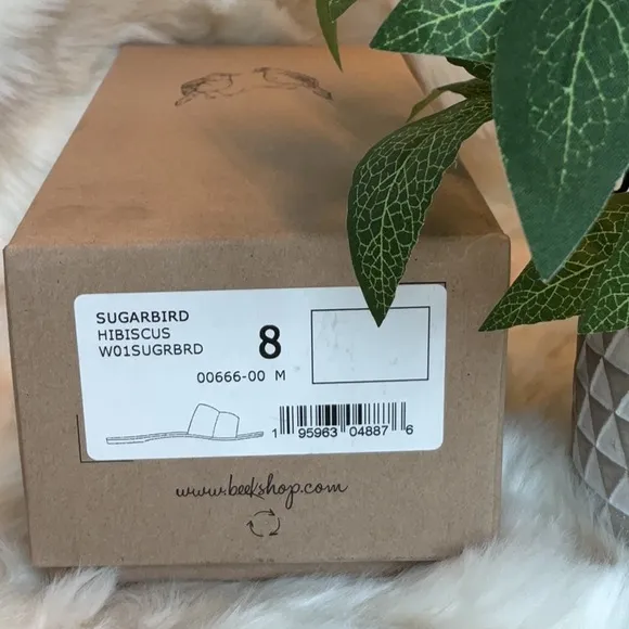 beek Sugarbird - Hibiscus
