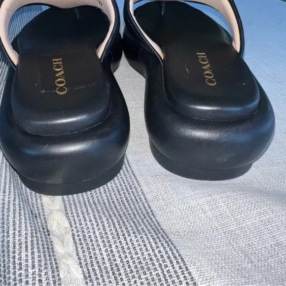 Coach Womens Sylvie Leather Black Leather Thong Flatform Sandals Shoes NWOB