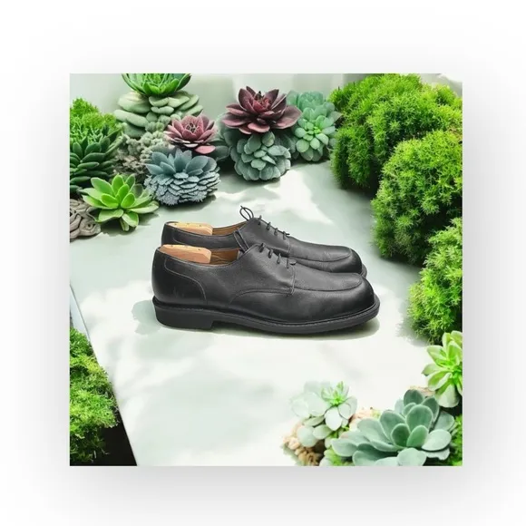 Cole Haan ★ City Square Toe Comfort Oxford Lace Up Shoes ★ Black Leather ★ 11.5