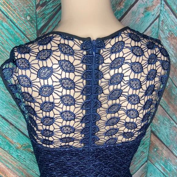 Diane Von Furstenberg Navy Lace Kinchu Dress