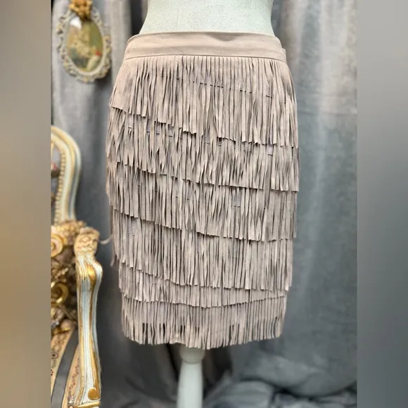 Elegant Gray Suede Fringe Skirt and Jacket