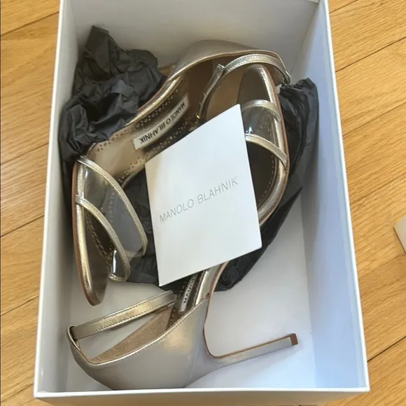 Manolo Blahnik Silver Women's Heels