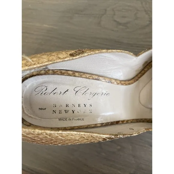 NEW Robert Clergerie Platform  Snakeskin Shoes US 8 1/2 France