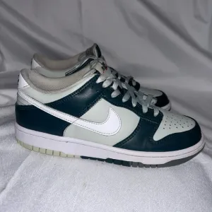 Nike Dunk Low Split Deep Jungle Boys Size 6Y  Women 8 Athletic Shoes Sneakers