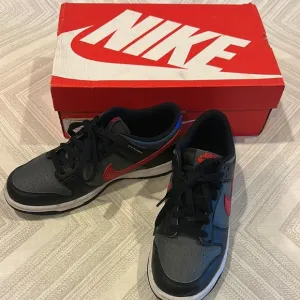 Nike Youth Dunk Low GS Black, Grey, Red &amp; Blue Sneakers - Size 7Y