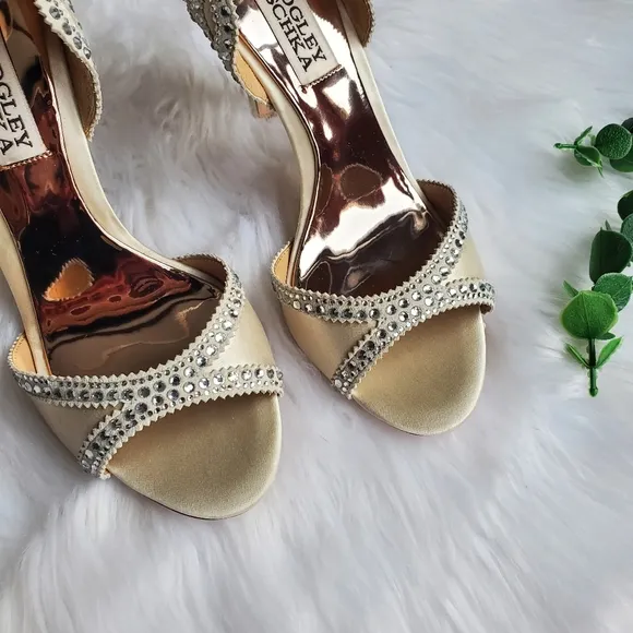 NWOT Badgley Mischka Roxy Heeled Sandal, Size 5.5
