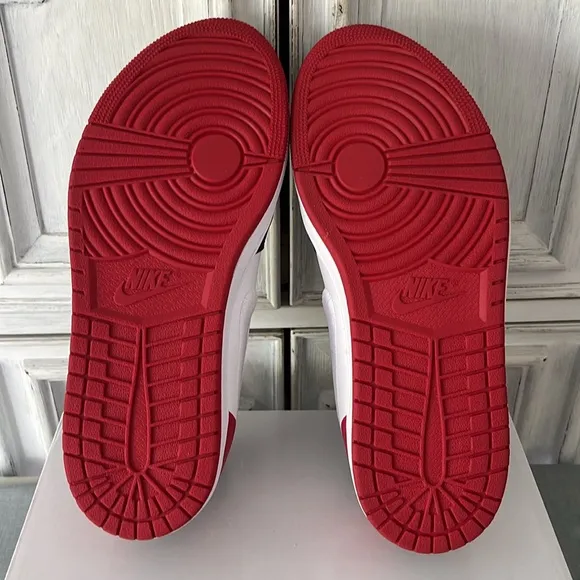 NWT Nike Special Edition WOMEN'S AIR JORDAN RETRO 1  Size 9