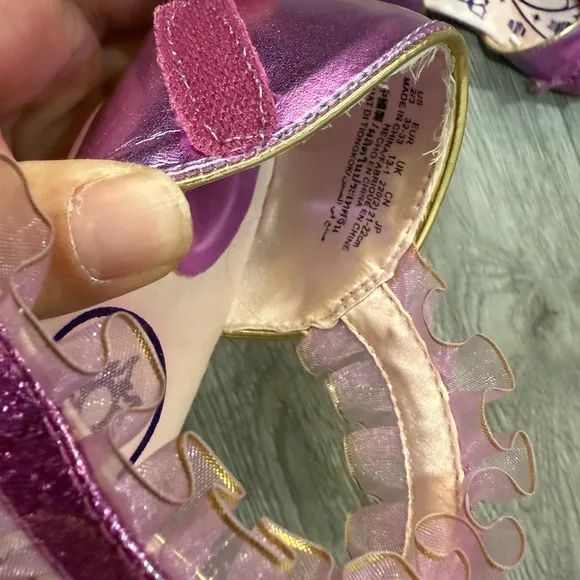 Rapunzel Costume with jewelry