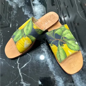 The CUTEST lemon slides by JAMES 🍋🍋 worn only a few times! EXCELLENT SHAPE!!