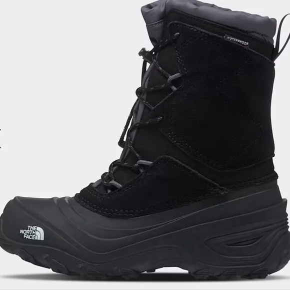 The north face youth boys Kids’ Alpenglow V Waterproof Boots