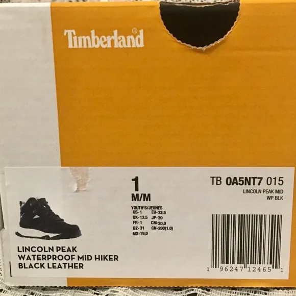 Timberland Youth Lincoln Peak Waterproof Mid Hiker Black Leather Shoes