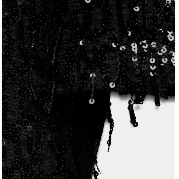 Zara fringe sequin sparkle blazer jacket