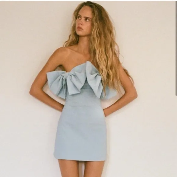 Zara NWT strapless bow dress Size XS