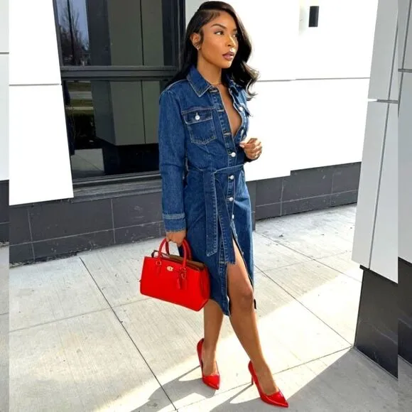 ZARA DENIM MIDI DRESS