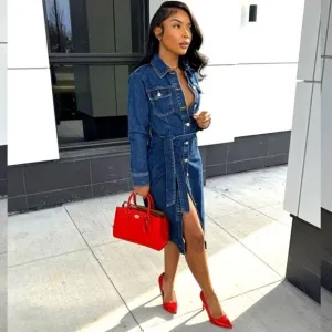 ZARA DENIM MIDI DRESS